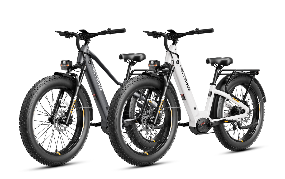 Heybike ALPHA